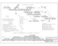 14.Сетевой график.jpg