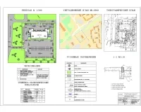 2.Генпла, ситуационный план, топографический план.jpg