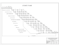 11.Сетевой график.jpg