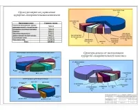 12.Сруктура затрат на управление курортно-оздоровительным комплесом.jpg